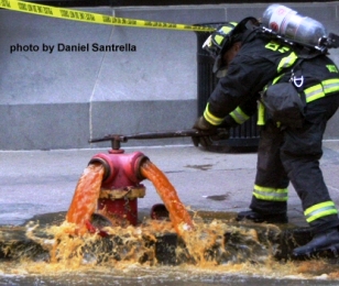 photo by Daniel Santrella