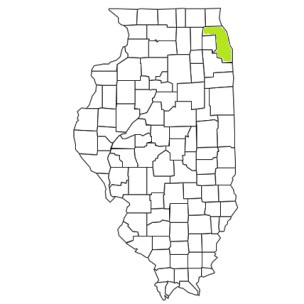 cook county illinois firefighters, chicago metro fire, cook county illinois fire, cook county ems, cook county fire apparatus, cook county fire departments, cook county illinois fire departments, cook county illinois fire stations, cook county illinois fire company, cook county il fire rescue